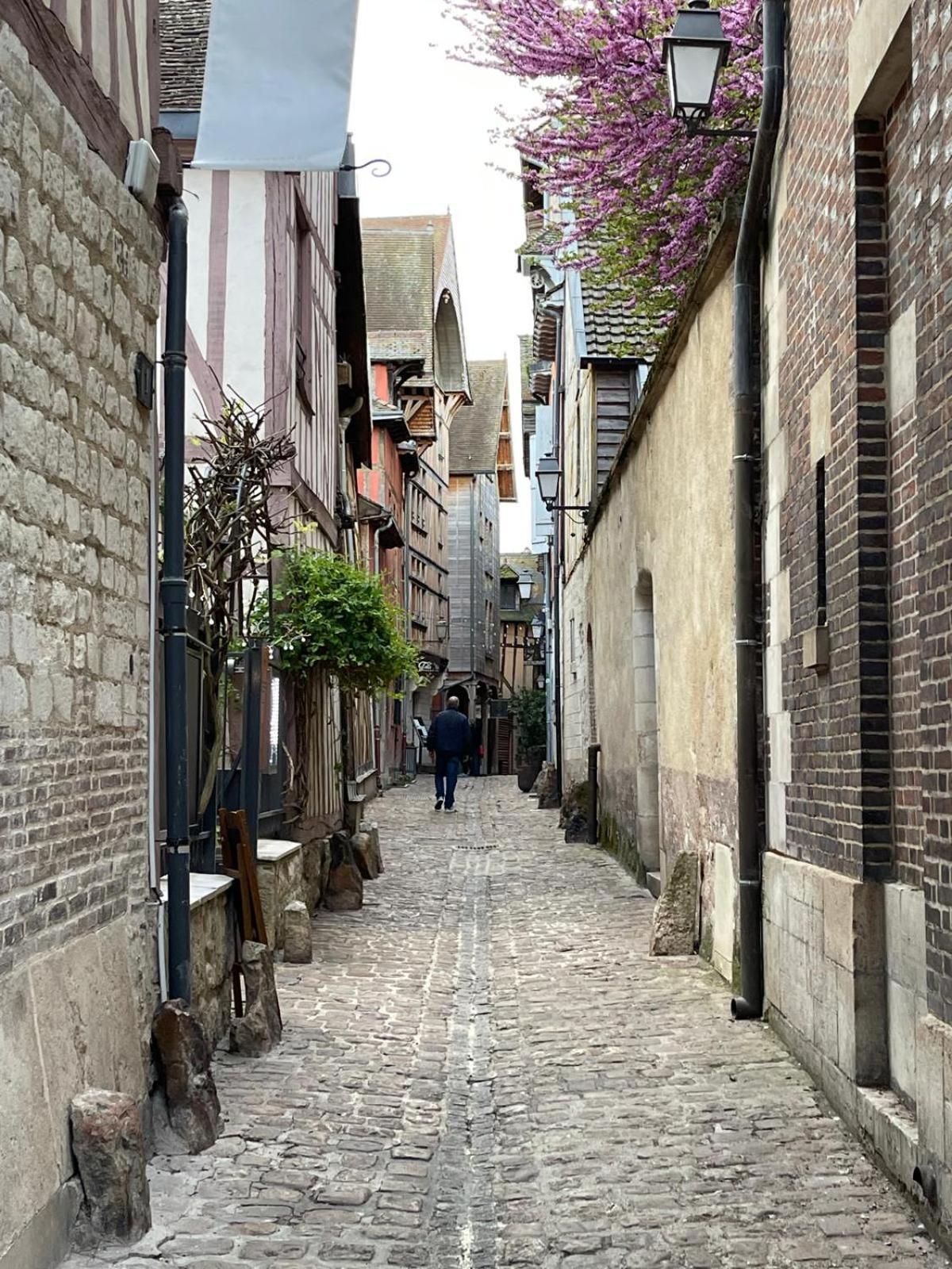 Un Brin De Bonheur Villa Troyes Dış mekan fotoğraf