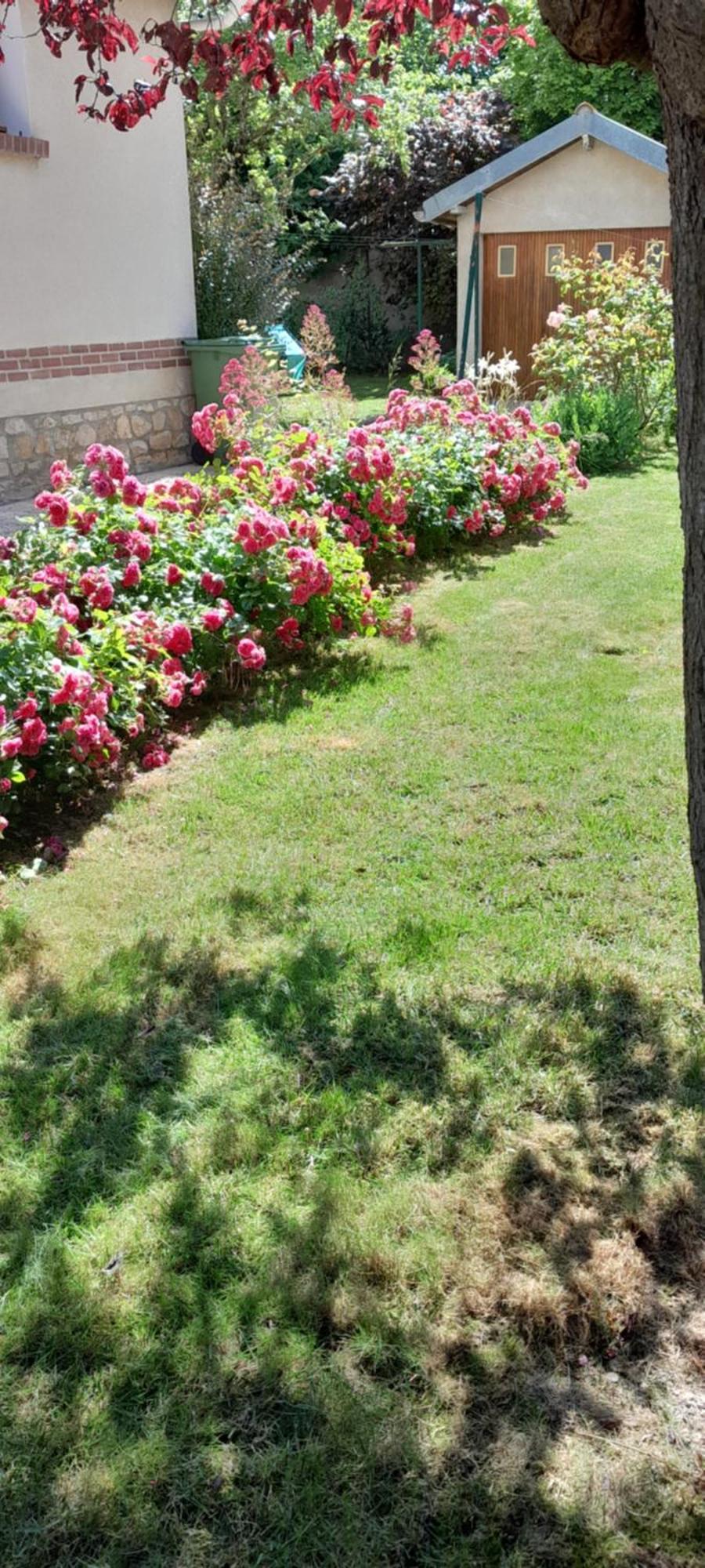 Un Brin De Bonheur Villa Troyes Dış mekan fotoğraf